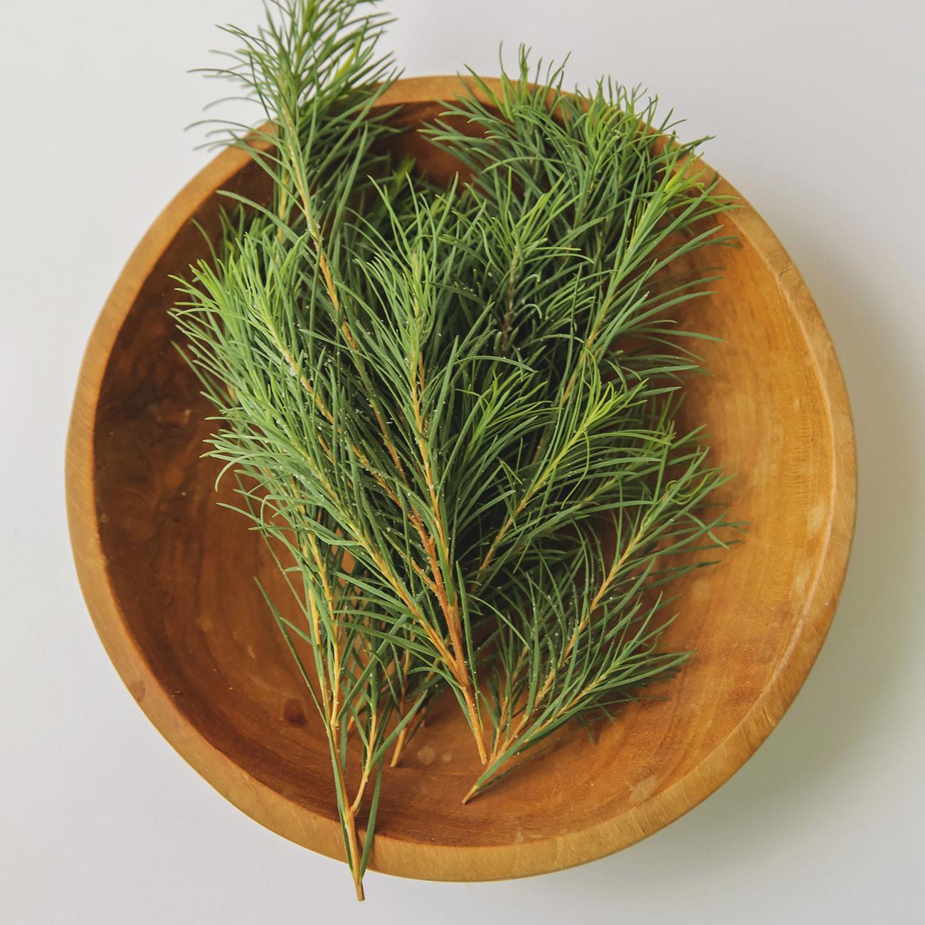 Tea Tree Balancing Foaming Cleanser 180ml - Image 4