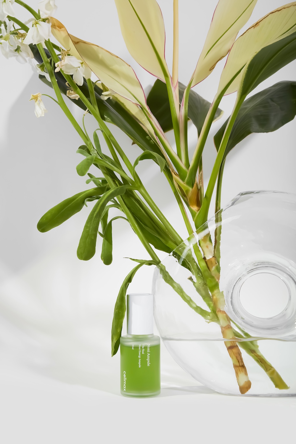 THE REAL NONI ENERGY AMPOULE 30ml - Image 24